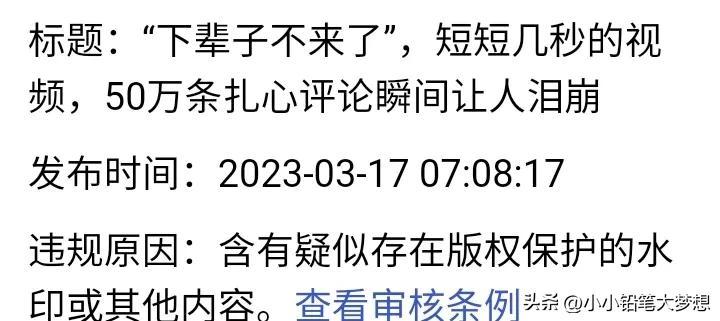 为什么我百家号坚持了半年就放弃了